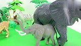 益智玩具：老虎大象河马等动物大集合