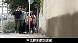 刑警有神奇吸引力，走到哪里都有人跟着他排队，抓罪犯毫不费力