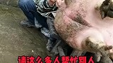 力气不够嘴巴来凑