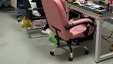 再发一遍二次元公司的日常