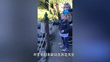 爸妈带宝宝去动物园看猩猩，接下来宝宝的动作，爸妈差点笑岔气了
