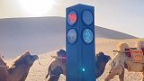 全国首个骆驼红绿灯亮相敦煌：骆驼绿灯骆驼走，行人绿灯行人走！