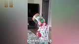 妈妈听到宝宝的呼喊,不料下一秒的画面,妈妈差点笑岔气