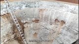 河南发现千年“粮仓”，储粮50万斤，粮食至今都能发芽！