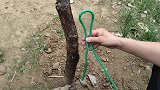 3种实用的系绳方法，建议收藏