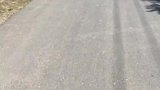 爷爷奶奶送孙女去上学