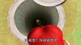猪猪侠：暗灵卫真搞笑，明知道有结界，还要往结界上打！