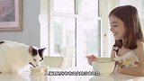 猫咪大型‘吸毒’场所，猫薄荷哄骗来大片猫咪，简直是怀疑人生了