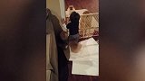小女孩在逗羊玩，羊却突然把小女孩撞翻了，真是太逗了