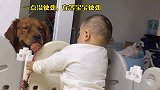养宠物和养孩子不冲突