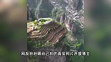 大爷在悬崖耕作，画面太震撼被质疑，大爷：这土是一筐筐运上来的