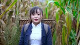 实拍云南镇雄收庄稼：姑娘上山掰苞谷全过程