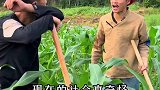 农村大实话，你们觉得是这样吗？
