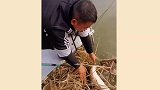 钓鱼人的崩溃瞬间，时间仿佛停在了那一刻，是真实反应无疑了