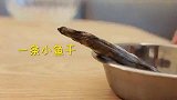 特制肉丝蛋饼！憨憨奶牛猫竟然完全不识货，只能说它无福消受了！