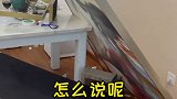 别的不说，我家这镜子是真结实
