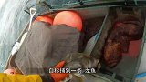 渔民捕到“龙鱼”，同伴看后惊呼：龙你个大头鬼，小心手指不保！