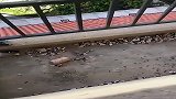 阳台下面，之前房客有点故事，不知道晚上会想些啥！