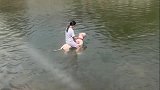 小姐姐骑着狗在水里的搞笑迷惑行为！