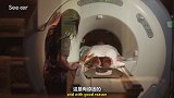 人的大脑究竟是如何组织在一起的？