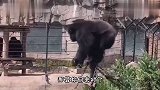 妹子今天这票没白买吧，还不赶紧刷个香蕉啊