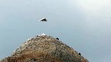 山顶出现三角形UFO，登山客近距离拍摄高清画面