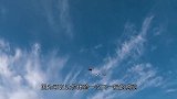 一只胆小的仓鼠从90米高空跳伞，着地后，仓鼠的反应请憋住别笑