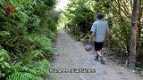 男子在森林的路中间挂了一个球，看会发生什么？