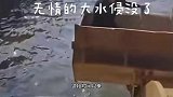 作家海菱发文质疑，韩红与王一博救灾作秀，摄影人员占用救援艇