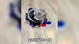 猫咪-这才叫“高端操作”！