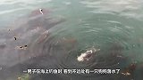 男子看到水面有波动，走近一看立即惊呆了，镜头拍下全过程