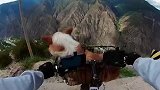 刺不刺激，两分钟带狗子到山底