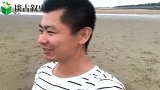 一堆金钱螺分食一条大鳗鱼，被小斗赶海时看到，直接拿走