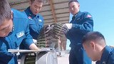 歼10战机超燃实弹地靶训练 锤炼飞行员对地攻击能力军事
