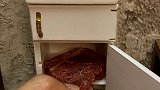 做牛排我是认真的 迷你厨房  美食