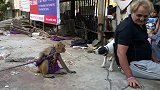 调皮的猴子看狗狗不顺眼，不断骚扰攻击！狗狗被猴子拽住铁链