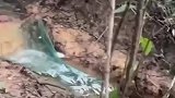 爆网，根本都拿不动
