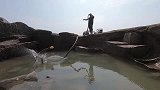 半夜撒30斤猪血的聚宝坑，搁浅海货狂打水花，名贵鱼货抓不停