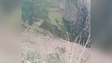 云南昭通一微型面包车坠入山谷致5人遇难 事故原因正在调查中
