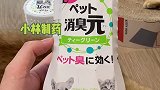 这应该就是蠢猫届天花板了吧猫咪的迷惑行为 动物图鉴