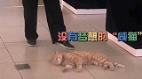 搞笑配音：既然反抗不了就不如去享受！