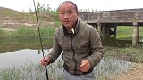 不打窝钓鲫鱼，挑最小的蚯蚓，试试这种玩法
