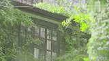 手作置物架，美观又实用