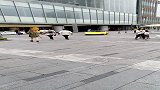 山西小哥开兰博基尼炸