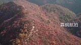 陕西韩城香山红叶