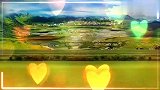 情歌对唱广场舞《月亮里的阿妹》歌声深情温柔甜蜜感人至深