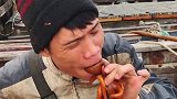 船长吃海中大米八爪鱼