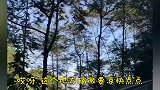 四川爆笑方言；易老幺说第一次去坐飞机好紧张 肚子都笑痛了