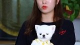 不吃点苦哪里会成长