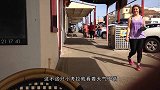 考拉打架打输了，站在墙角举手投降，太逗了！